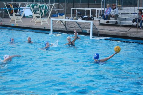 Water polo finishes strong despite losses