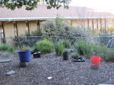 A Sustainable Education: What Special Education Students Are Learning and Teaching