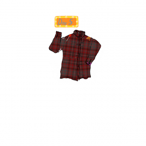 Plaid on Plaid: A Social Experiment