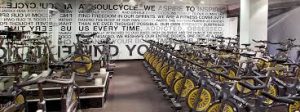 The Cycle of Life