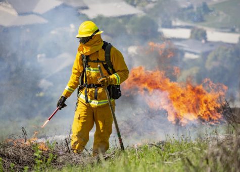 Photos: Controlled Burn on Horse Hill Prepares for Upcoming Fire Season