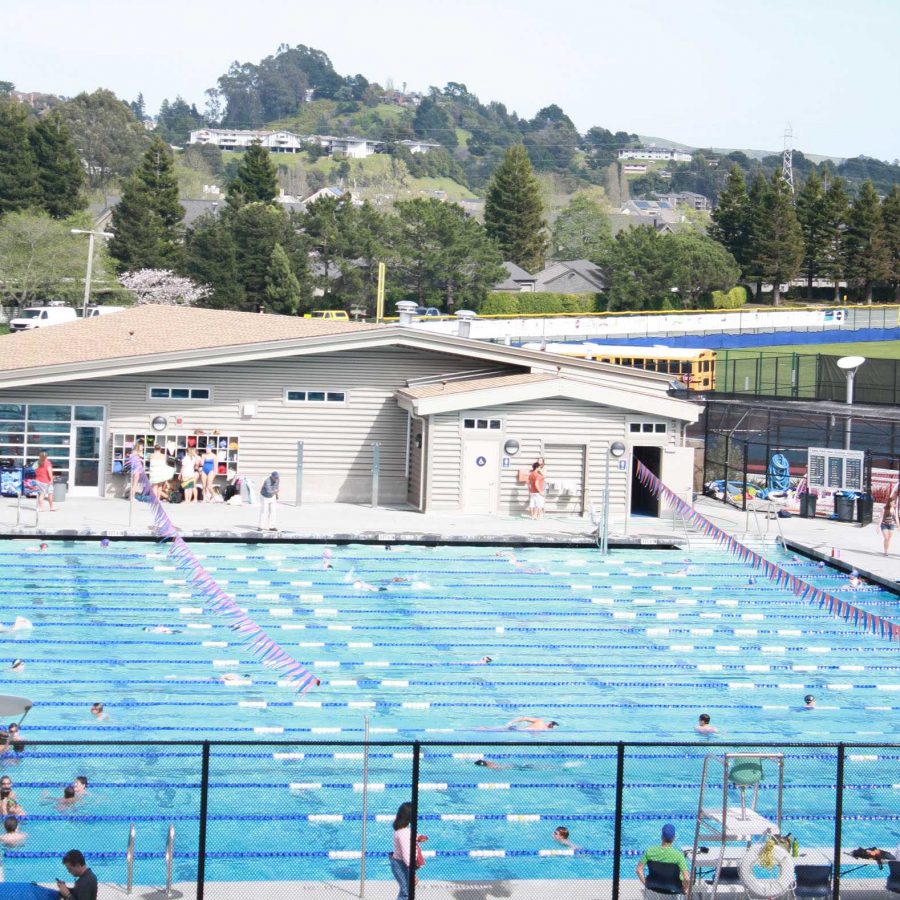 Tam diving going strong with new coach and divers