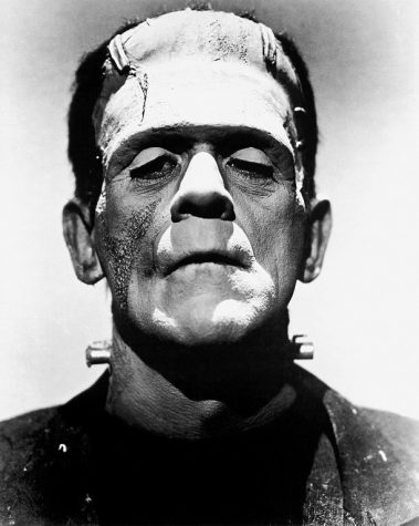 Horror Movies: Your Deranged Yet Delightful Friend in the Dark