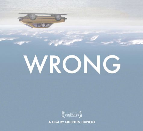 “Wrong” Review: Something’s Not Quite Right