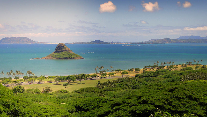 Mt. Carmel Church Lends a Hand in Oahu, Hawaii