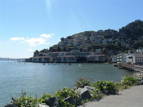 A Slice of Paris in Sausalito