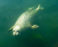 Lowry Makes a Splash at the Marine Center