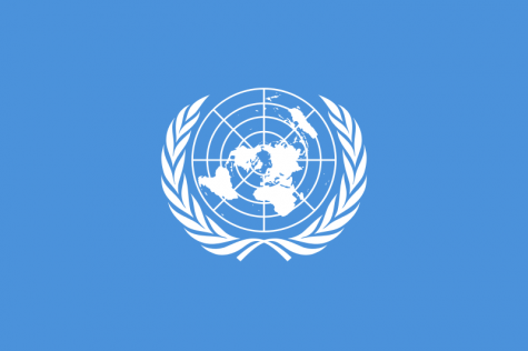 Model UN Club Expands