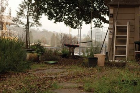 Students Launch Garden Restoration Project