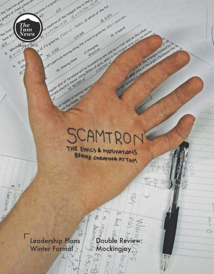 Scamtron: A Look at Ethics and Motivations Behind Cheating at Tam