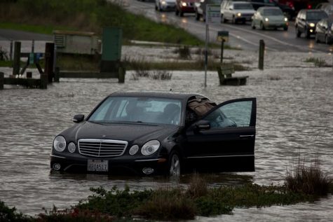 Almonte Blvd Flood Photo Gallery