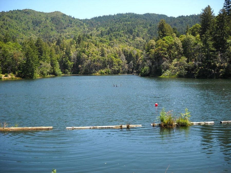 Winter Rain Fills Marin Reservoirs