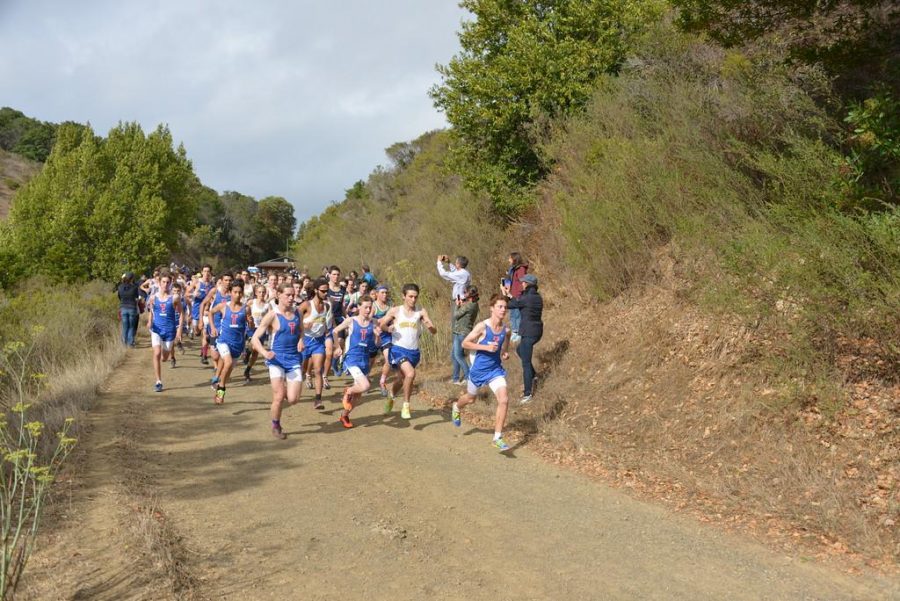 Going the Extra Mile (Two Different Perspectives on the Cross Country Team)