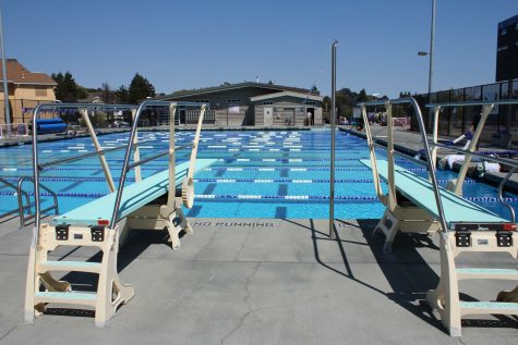 Girls’ Varsity Water Polo Loses to Novato