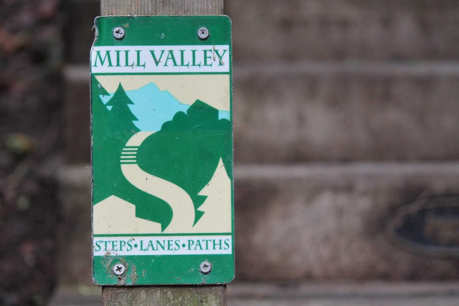 Lawsuit Filed Against City of Mill Valley