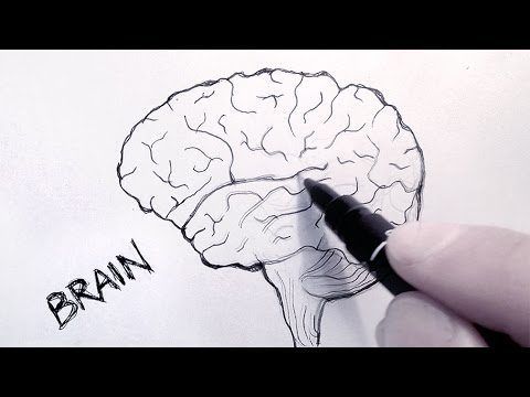 A Few Tips from an Artists Mind