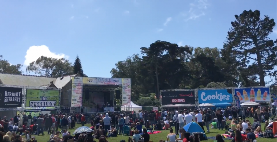 The Tam News Goes to the 420 Festival
