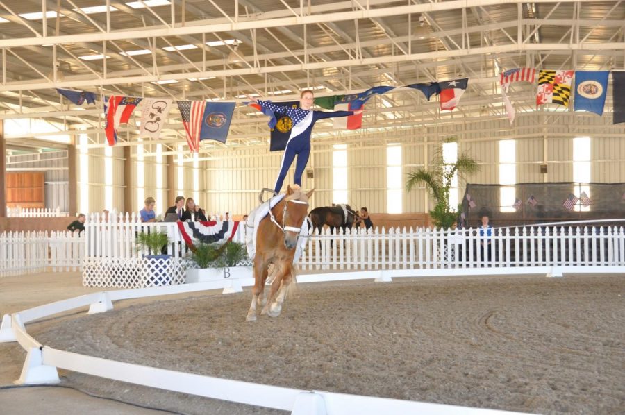 Vaulting Over the Competition