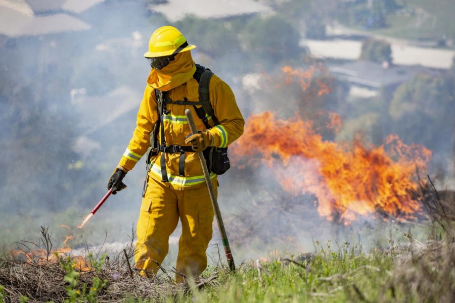 Firefighters conducted a controlled burn on Horse Hill in Mill Valley on Wednesday, April 10, 2019, to prepare for the upcoming fire season. (Ethan Swope)