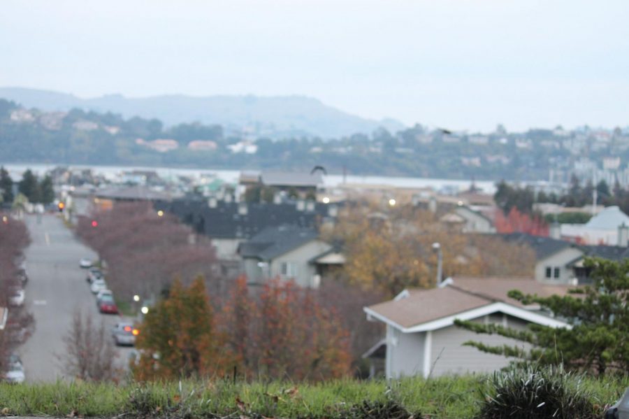 Contra Costa police raided homes in Marin City on November 14. (The Tam News)