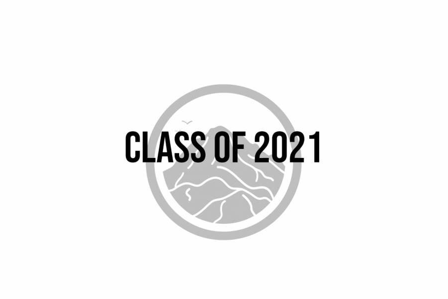 A Survey of the Class of 2021