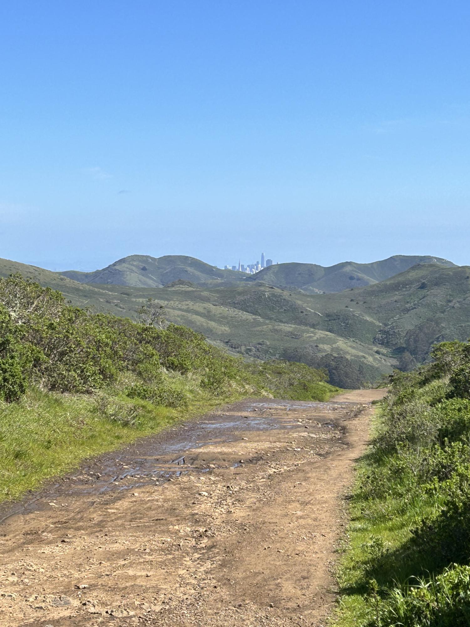 View of San Francisco from Marin Cello Loop. Marin Cello was going to be developed into homes until it became park land and protected.