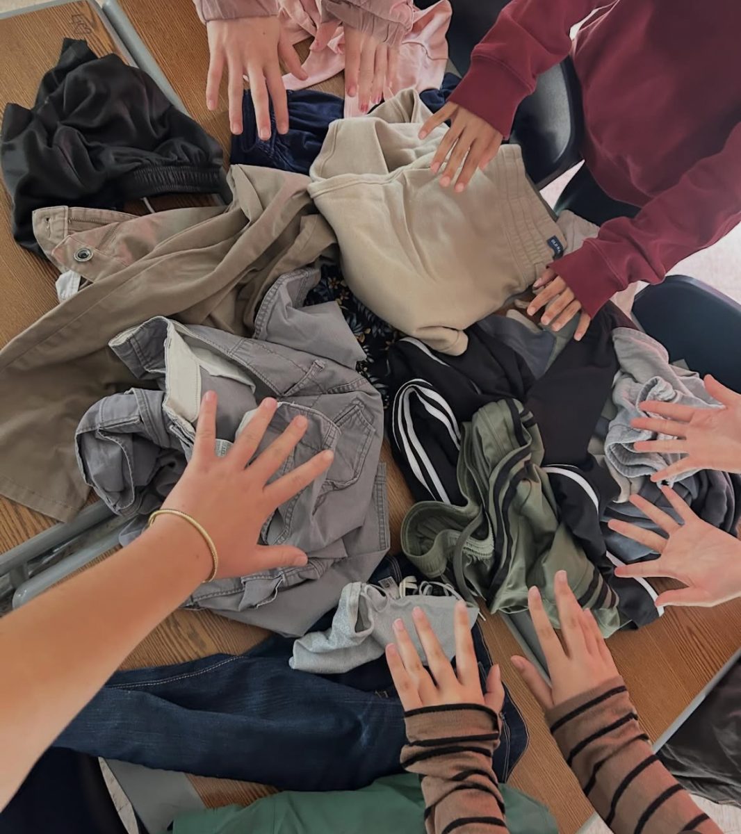 Club Profile: The Sustainable Fashion Club